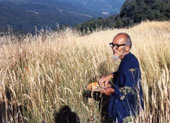 Natural farming is a Buddhist way of farming that originates in the philosophy of 'Mu,' or nothingness....